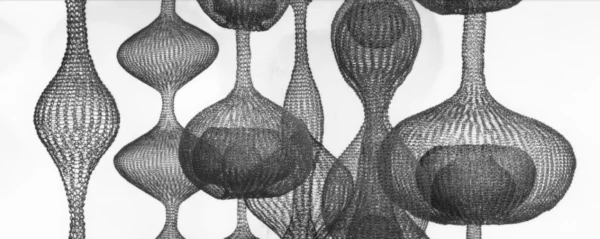 Private Tour: Ruth Asawa at Modern Art Oxford