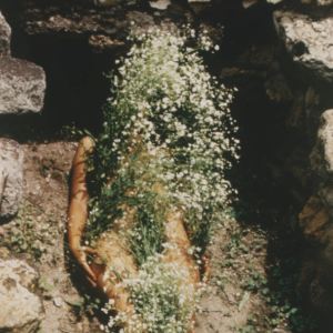 Ana Mendieta: after hours with curator: Patrons Priority